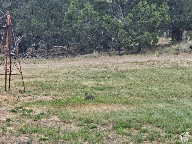 7124 S 38700 DIRT #10, Fruitland, UT 84027