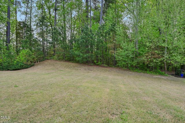 1959 Mostyn Lane, Apex, NC 27502