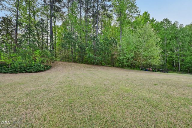 1959 Mostyn Lane, Apex, NC 27502