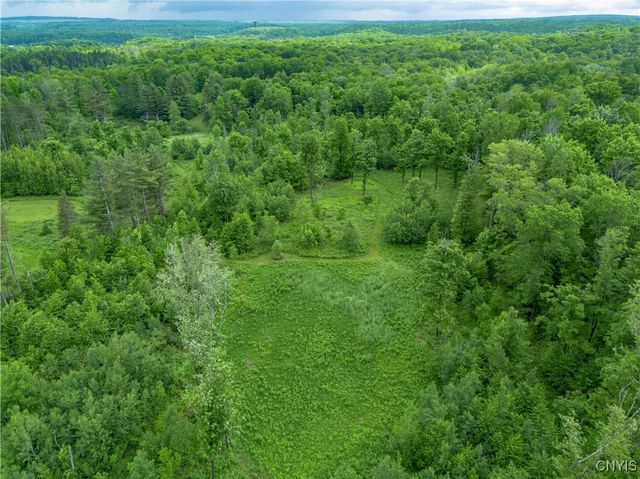 217 Sloperville Road, Albion, NY 13302