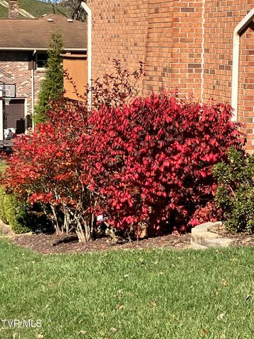 415 Heritage Drive, Bristol, VA 24201