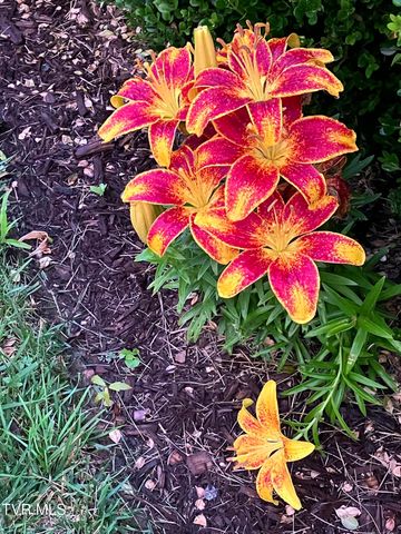 415 Heritage Drive, Bristol, VA 24201