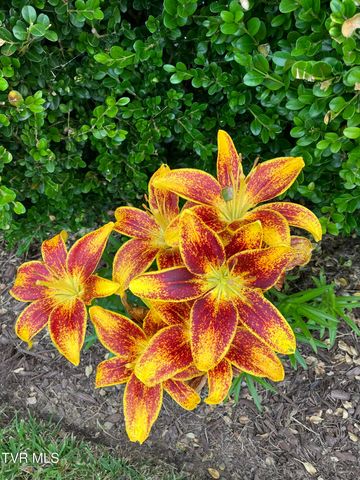 415 Heritage Drive, Bristol, VA 24201