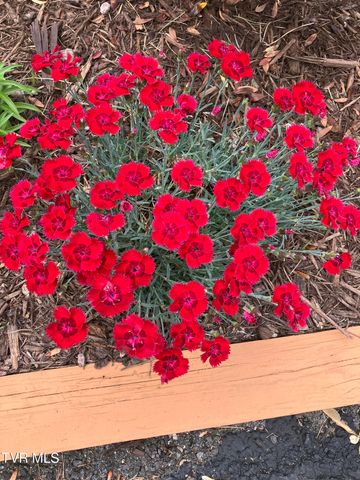 415 Heritage Drive, Bristol, VA 24201