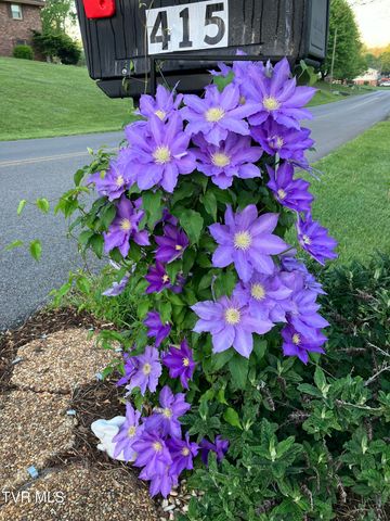 415 Heritage Drive, Bristol, VA 24201