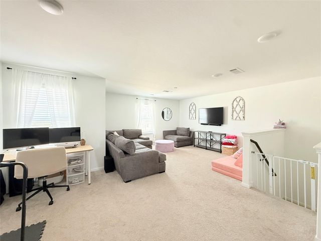 17723 Seed Drill Lane, Hockley, TX 77447