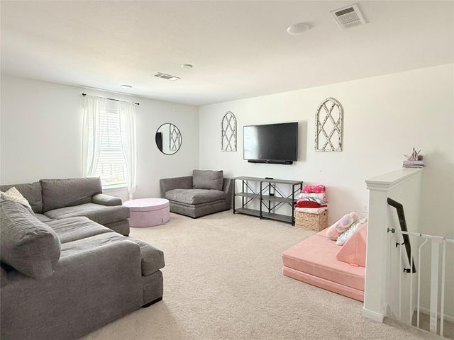 17723 Seed Drill Lane, Hockley, TX 77447