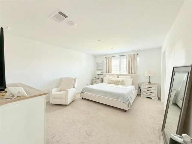 17723 Seed Drill Lane, Hockley, TX 77447