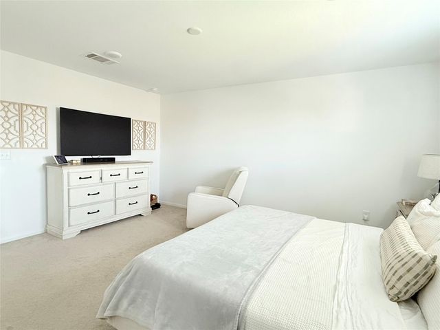 17723 Seed Drill Lane, Hockley, TX 77447