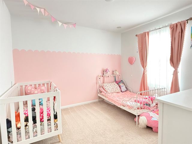 17723 Seed Drill Lane, Hockley, TX 77447