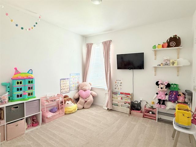 17723 Seed Drill Lane, Hockley, TX 77447