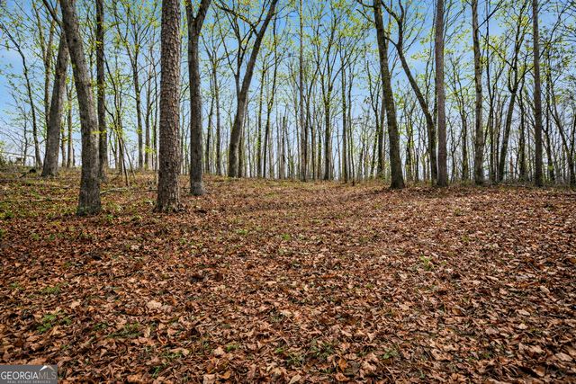 2325 Stonepile Road LOT 3, Clarkesville, GA 30523