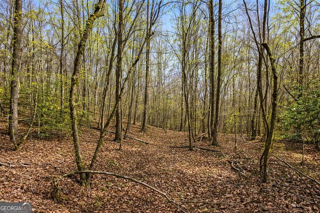 2325 Stonepile Road LOT 3, Clarkesville, GA 30523