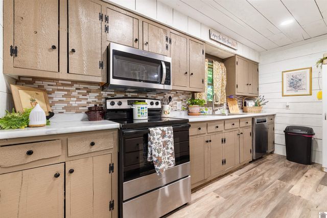 924 Hayes School Rd, Mayfield, KY 42066