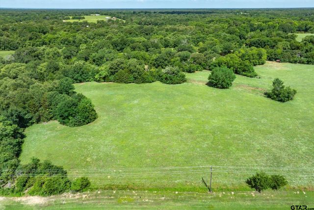 Lot 4 State Highway 19, Emory, TX 75440