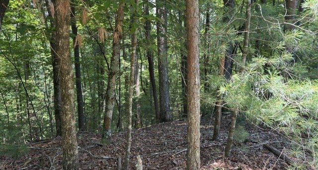 LT1178 Optic Court, Ellijay, GA 30540