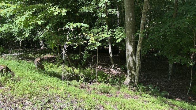 LT1178 Optic Court, Ellijay, GA 30540