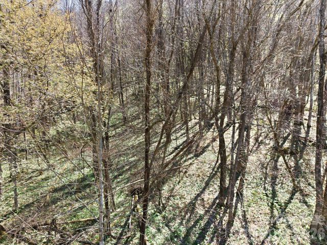 210 Apple Creek Road, Waynesville, NC 28786