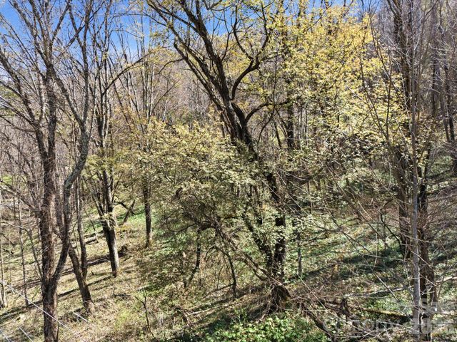 210 Apple Creek Road, Waynesville, NC 28786