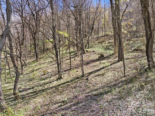 210 Apple Creek Road, Waynesville, NC 28786