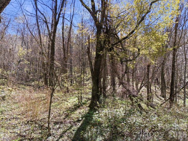 210 Apple Creek Road, Waynesville, NC 28786