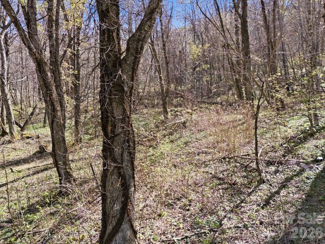 210 Apple Creek Road, Waynesville, NC 28786