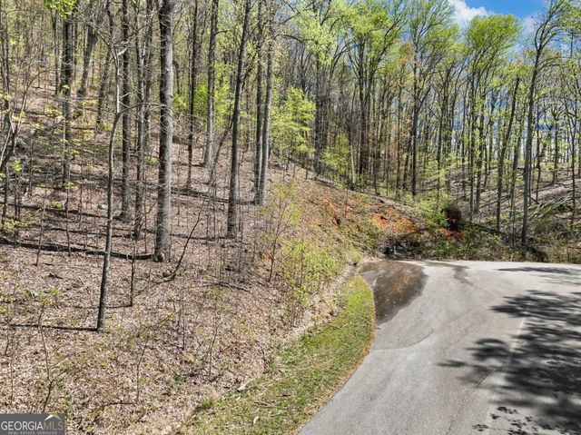 0 Stone Cliff Trace, Cleveland, GA 30528