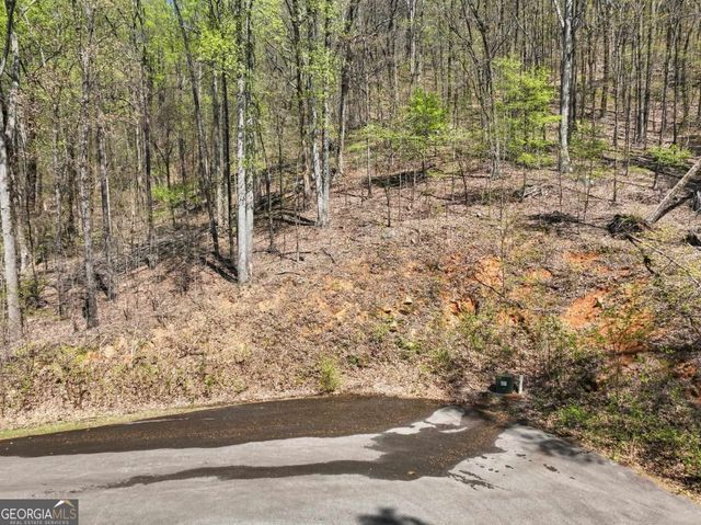 0 Stone Cliff Trace, Cleveland, GA 30528