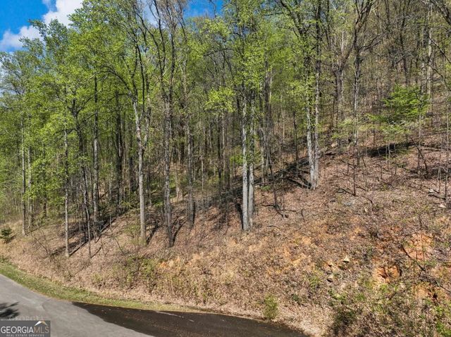 0 Stone Cliff Trace, Cleveland, GA 30528