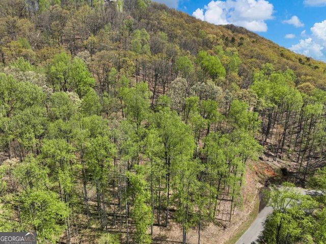 0 Stone Cliff Trace, Cleveland, GA 30528
