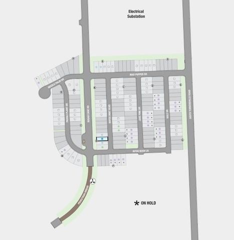 222 Bayou Mint BLVD, Buda, TX 78610