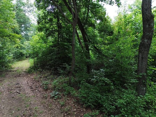 204 Charlie Crosslin Rd, Manchester, TN 37355