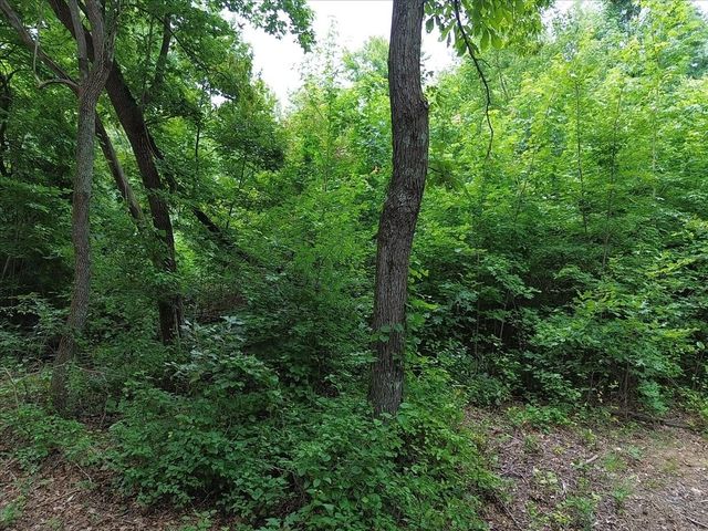 204 Charlie Crosslin Rd, Manchester, TN 37355