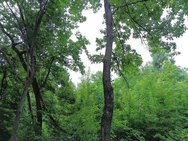 204 Charlie Crosslin Rd, Manchester, TN 37355