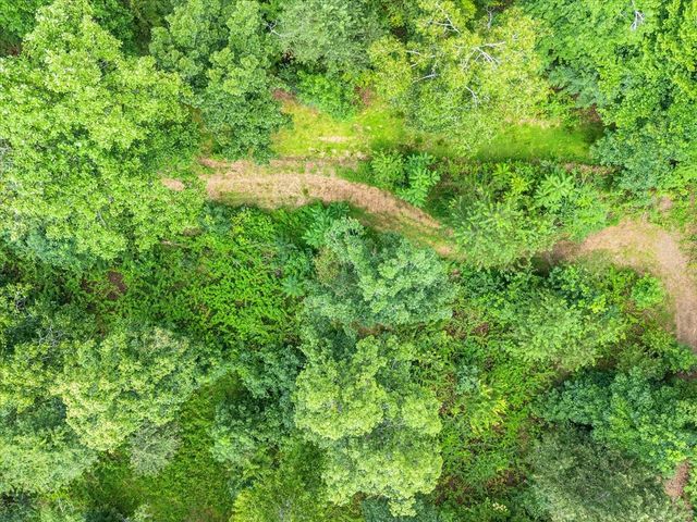 204 Charlie Crosslin Rd, Manchester, TN 37355