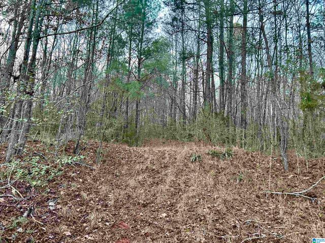 0 HILL STREET, Odenville, AL 35120