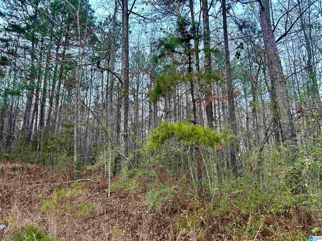 0 HILL STREET, Odenville, AL 35120