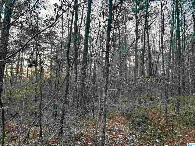 0 HILL STREET, Odenville, AL 35120