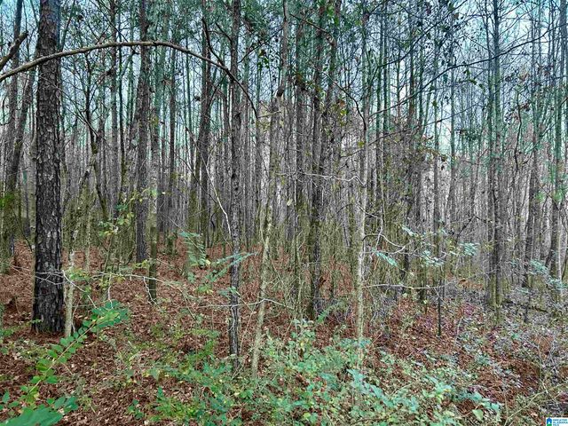 0 HILL STREET, Odenville, AL 35120