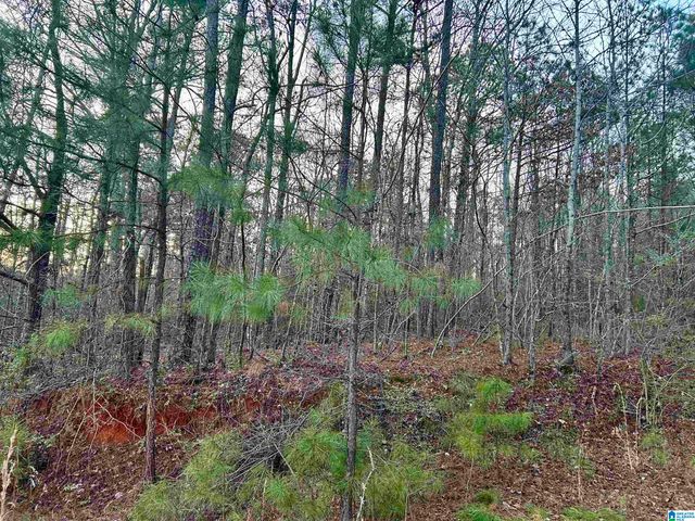 0 HILL STREET, Odenville, AL 35120