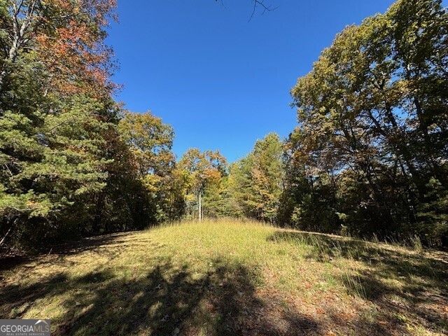 0 John Call Road, Ellijay, GA 30536