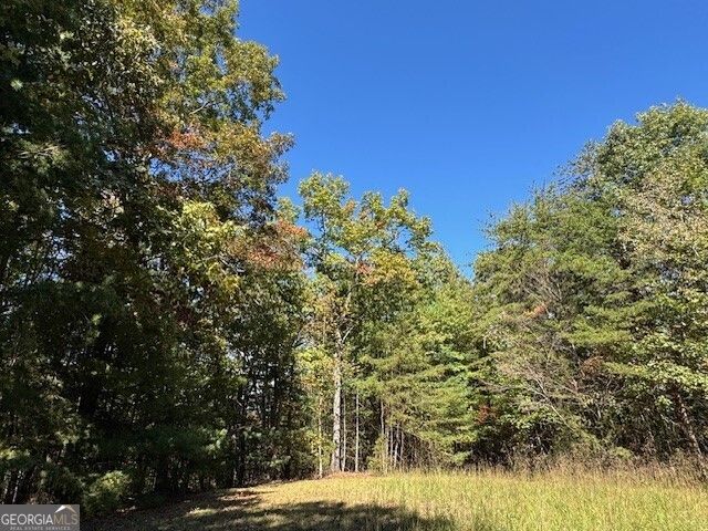 0 John Call Road, Ellijay, GA 30536