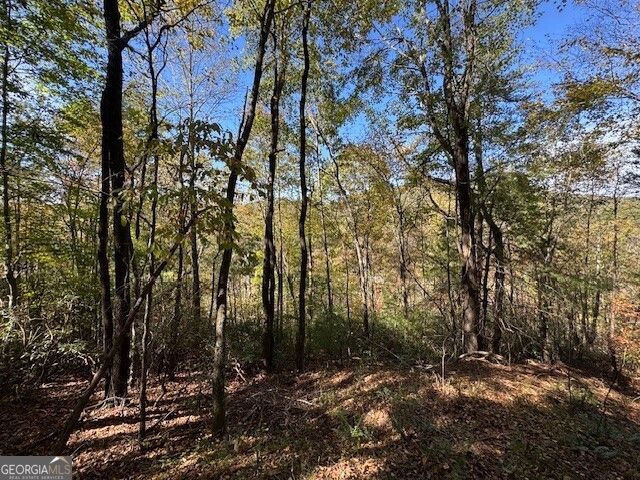0 John Call Road, Ellijay, GA 30536