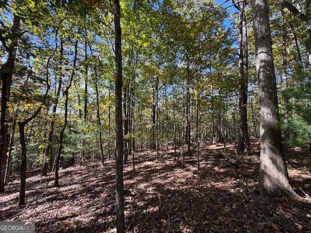 0 John Call Road, Ellijay, GA 30536