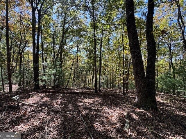 0 John Call Road, Ellijay, GA 30536