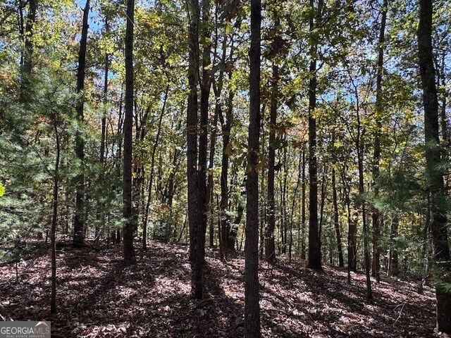 0 John Call Road, Ellijay, GA 30536