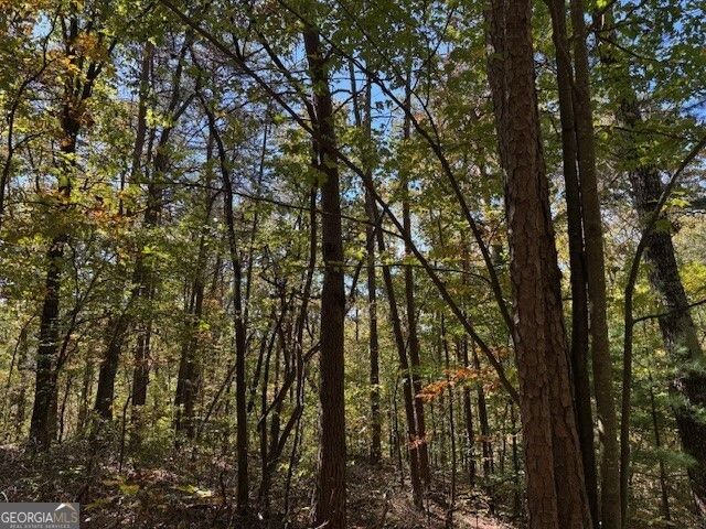 0 John Call Road, Ellijay, GA 30536