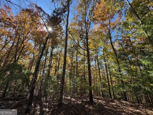0 John Call Road, Ellijay, GA 30536
