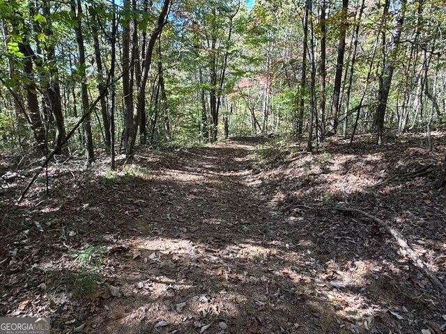 0 John Call Road, Ellijay, GA 30536