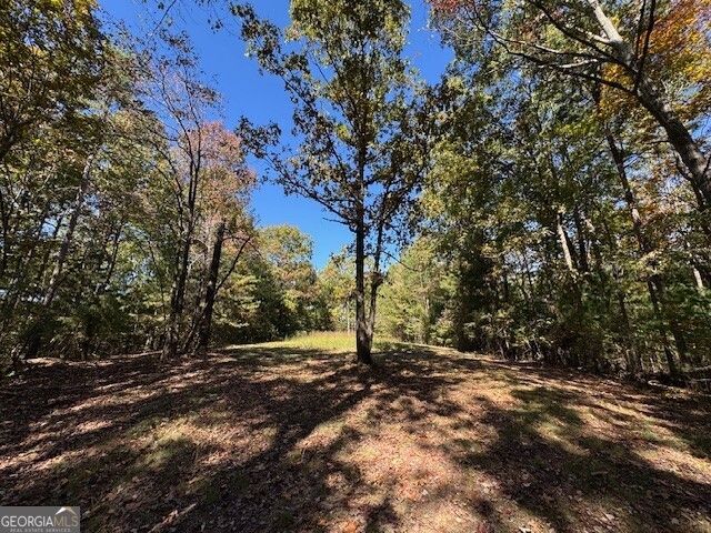 0 John Call Road, Ellijay, GA 30536